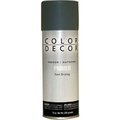 General Paint Color Dcor Decorative Enamel Spray 10 oz. Aerosol Can, Gray, Primer - 527754